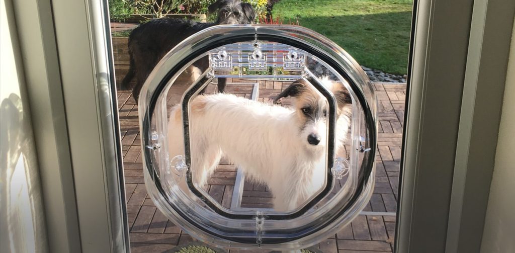 Glass Fitting Dog Doors PetTek